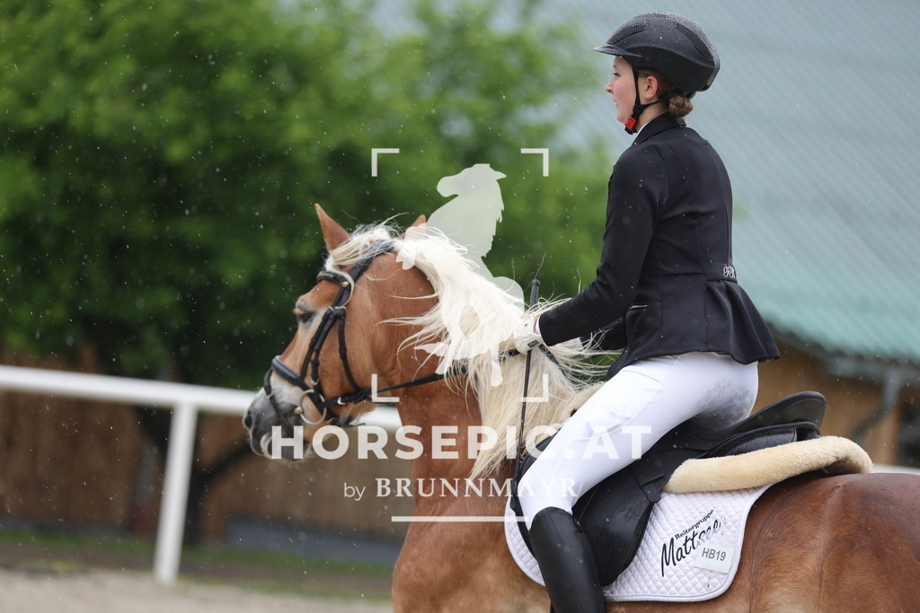 0P6A7582 | Willkommen bei Brunnmayr - Design & Fotografie – Ihrem Spezialisten für Reitturniere und Pferdeveranstaltungen in Oberösterreich, Salzburg und Bayern! Seit über 17 Jahren sind wir leidenschaftlich dabei.