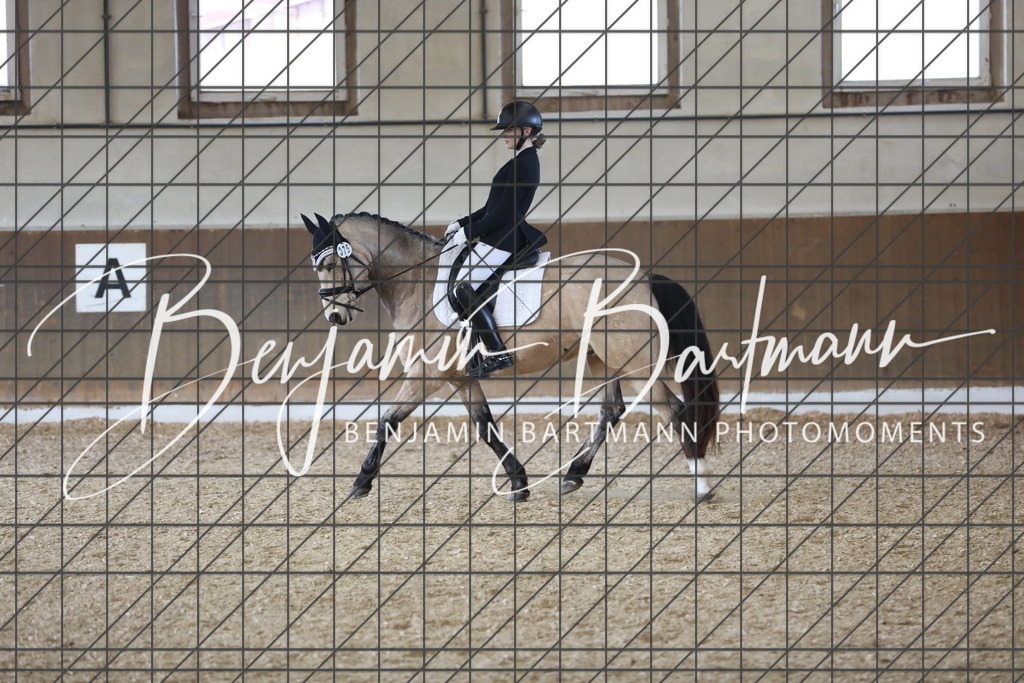 AZ2A8598 | Benjamin Bartmann Photomoments