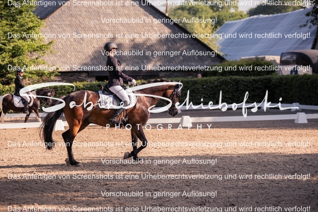 2025_05_31_DSCF2725 | People- und Tierfotografie, Imageaufnahmen, Veranstaltungsfotografie und Wandbilder aus der Natur ★ Made in Germany ✔️ Druck + Downloads ✔️ Naturfotografie in Top Qualität ★ schneller Versand, weltweite Lieferung! - Realisiert mit Pictrs.com