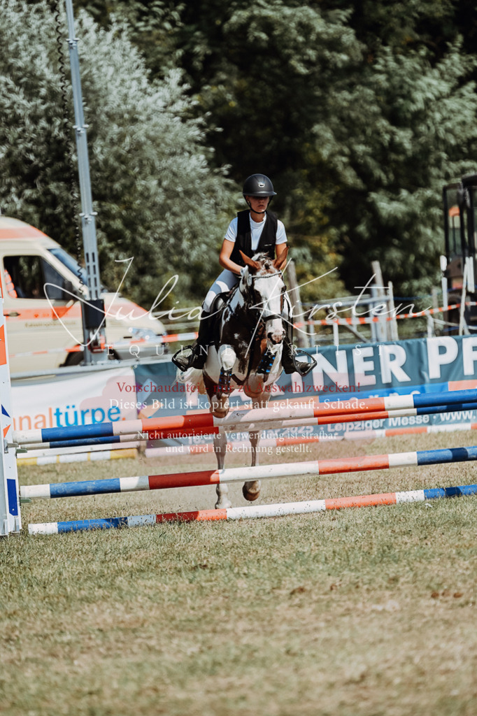DSC_9816 | Pferde- und Turnierfotografie in Westsachsen. Pferdeportraits, Auftragszeichnungen und intuitive Kunst.