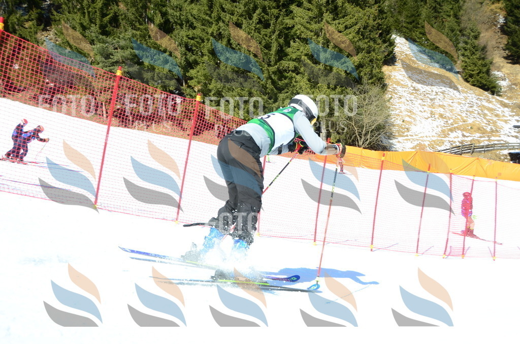 C6790 | holidayphoto