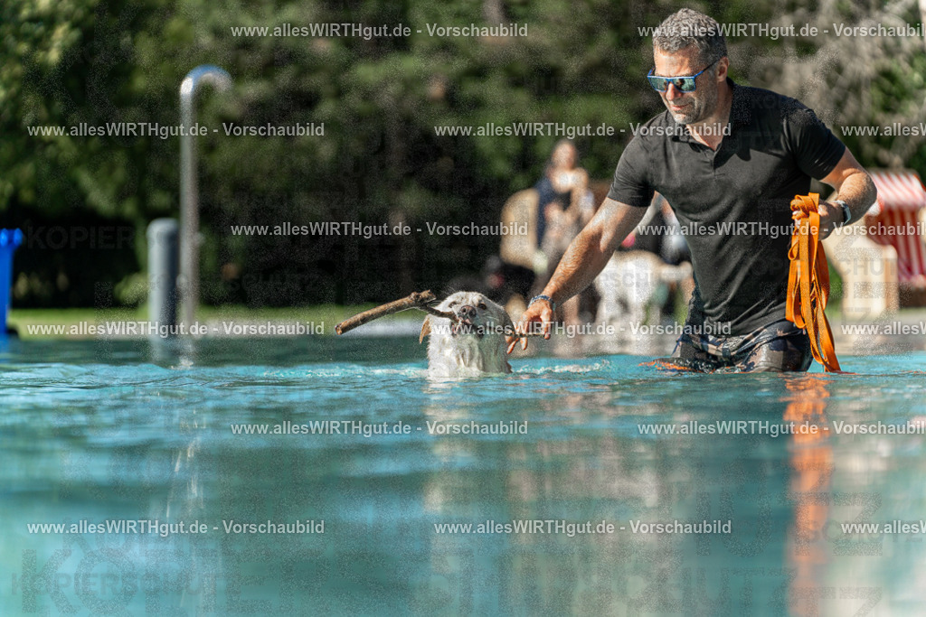 Hundeschwimmen_Volksbad_2026-allesWIRTHgut_Tierfotografie-2609061545-7R501813 | Professionelle Tierfotografie in Mönchengladbach von Daniel Wirth (allesWIRTHgut). Liebevolle & natürliche Bilder von Hunden & Katzen für unvergessliche Erinnerungen.