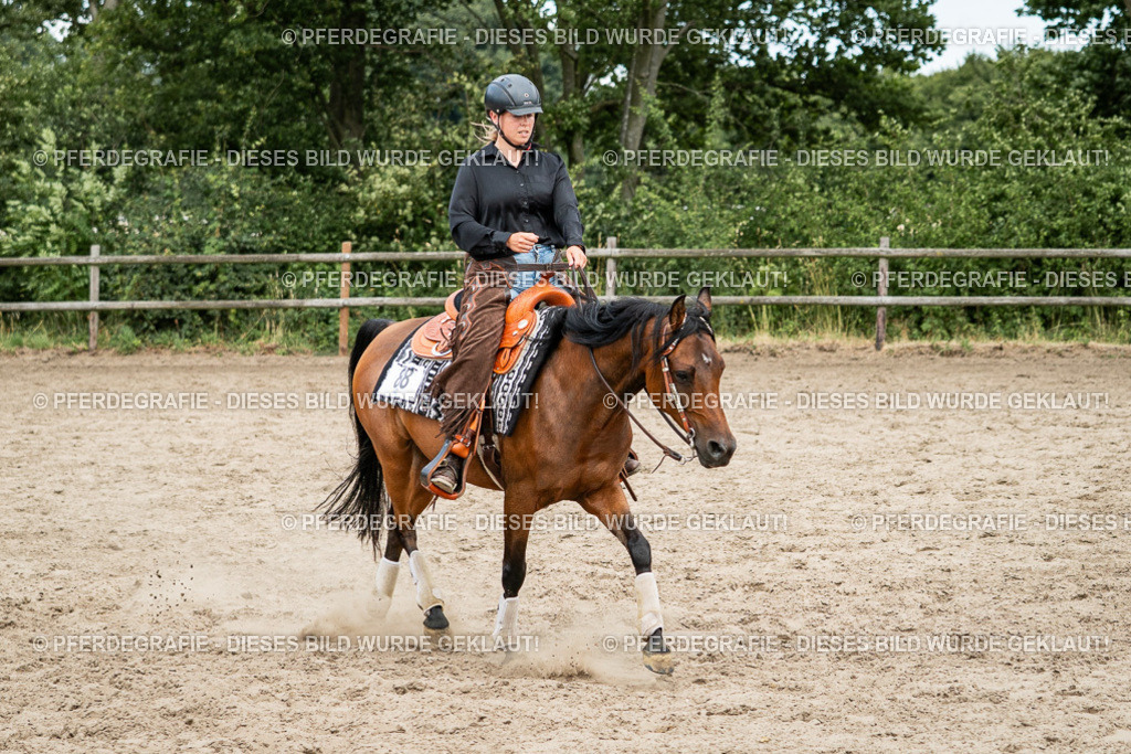 DSC02033 | Pferdegrafie