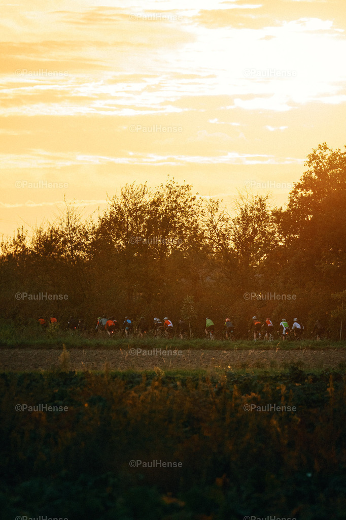 20210928_0039_PaulHense_DSC01518 | paulhense - Realisiert mit Pictrs.com