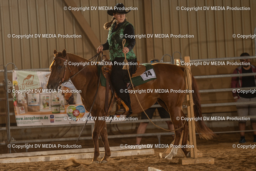 NID02593 | dv-media-shop - Realisiert mit Pictrs.com