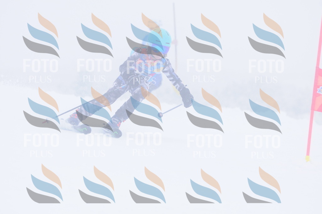 C1942 | holidayphoto