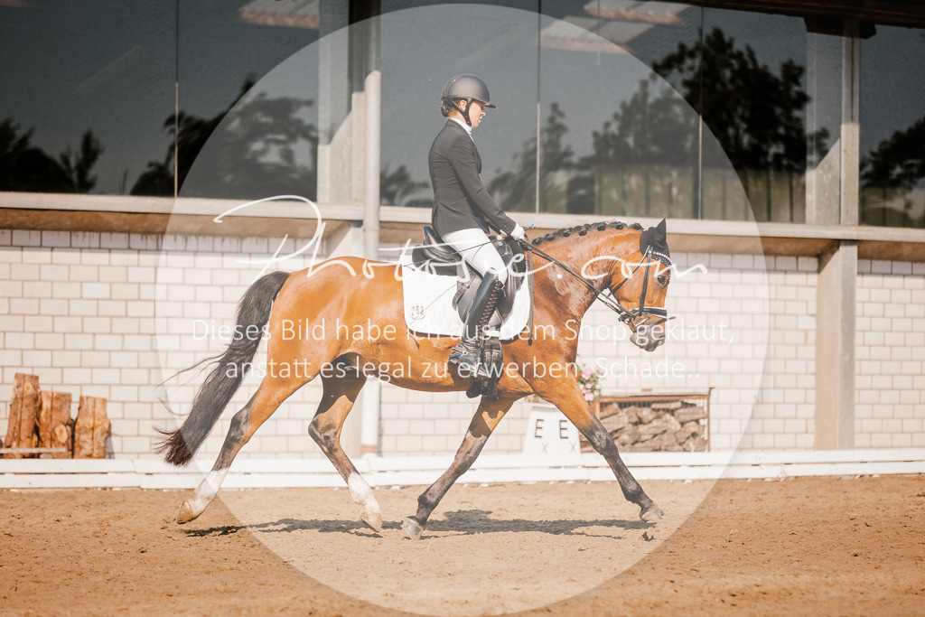 3I6A9031 | Stimmungsvolle Portraits und Reitsportfotografie im Ruhrgebiet und im Münsterland.

Pferdefotografie, Hundefotografie, Tierfotografie, Reportagen, Portraits von Tier und Mensch, Turnierfotografie in Bochum, Recklinghausen, Marl, Haltern am See, Dülmen.. - Realisiert mit Pictrs.com