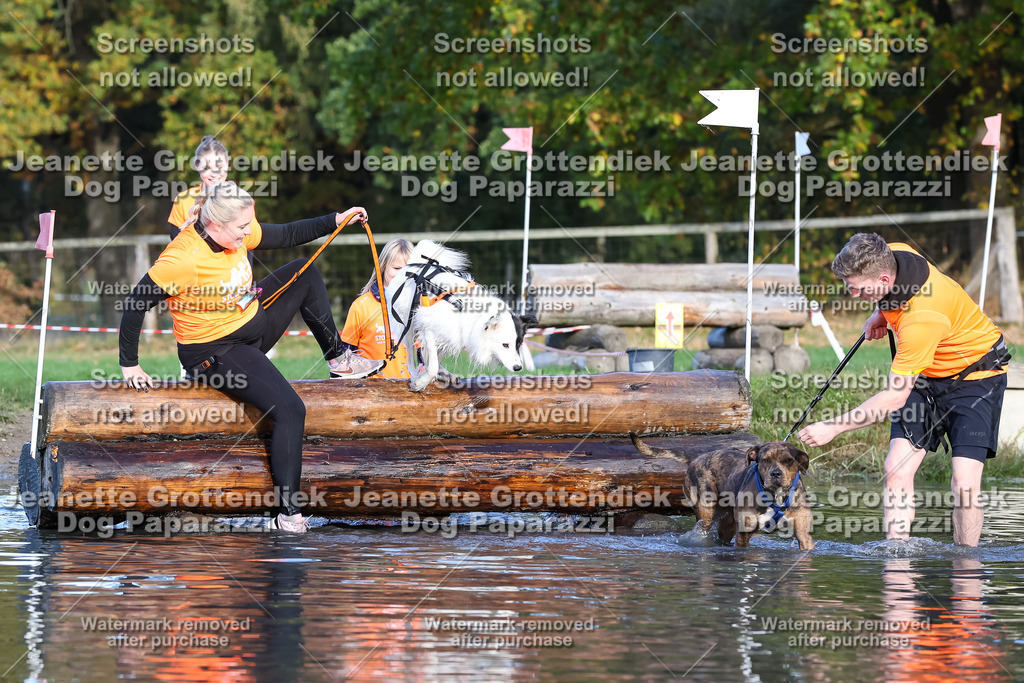 Dog Paparazzi - Strongdog 10-25-8563 | Dog Paparazzi Jeanette Grottendiek Fotografie & Videografie