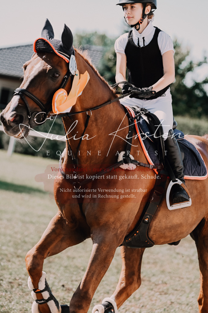DSC_4938 | Pferde- und Turnierfotografie in Westsachsen. Pferdeportraits, Auftragszeichnungen und intuitive Kunst.