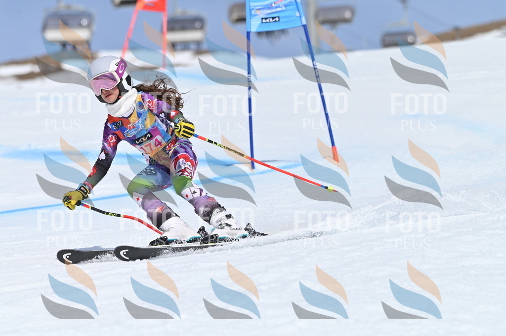 BGV_0513 | holidayphoto