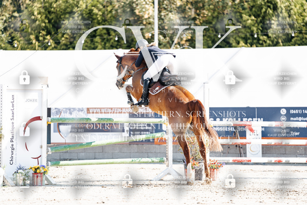 CK902008 | Turnierfotografie Pferdefotografie Trier Rheinland-Pfalz Pferdesport Reitsport Tierfotografie Sportfotografie Pferdevideo Pferdevideografie Equestrianvideography equestrianphotography  - Realisiert mit Pictrs.com