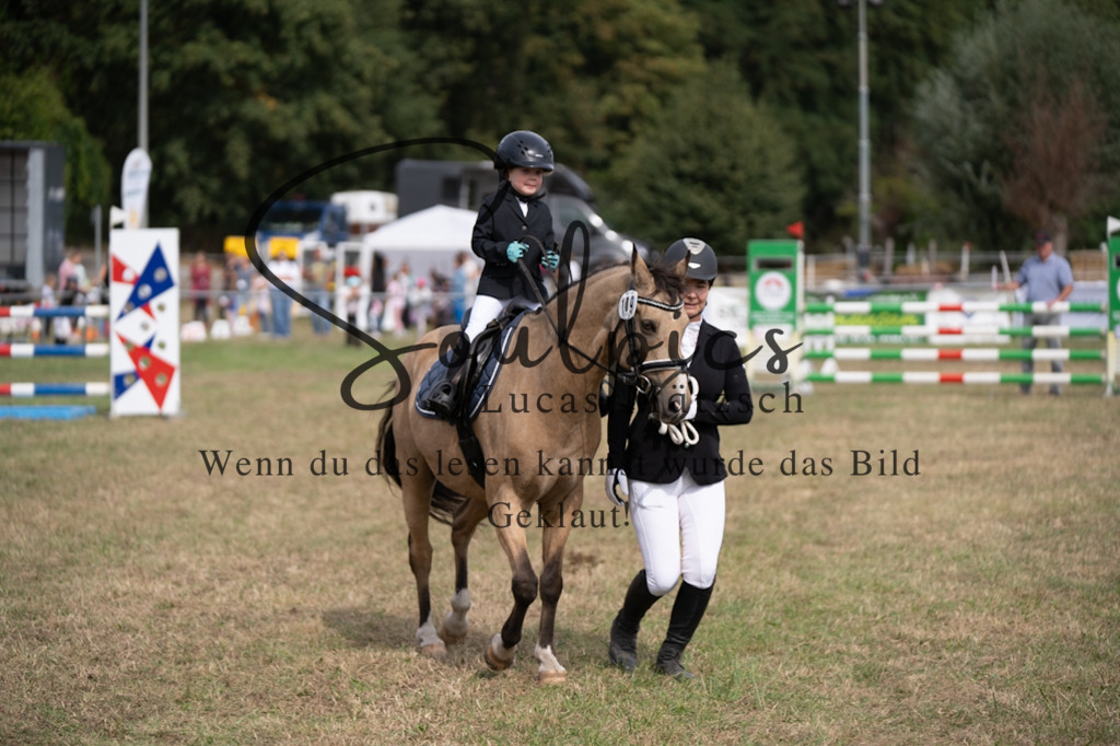 A7V08914 | Turnier/Reitfotograf