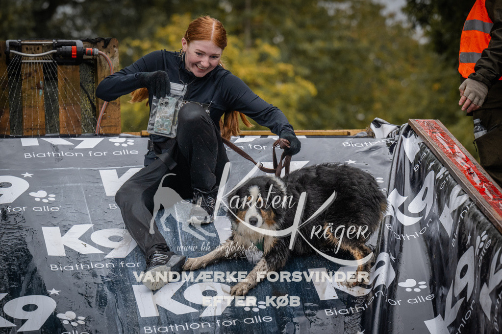 1210_ZZ94597 | kk-dogfotos