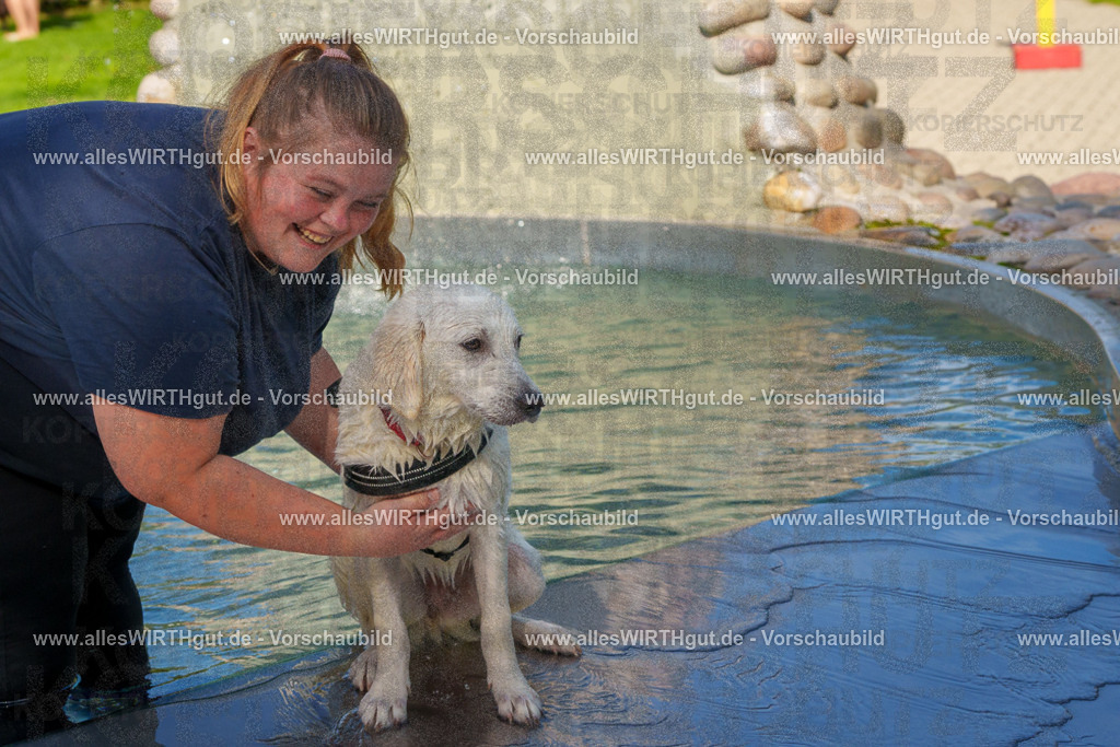 Hundeschwimmen_Grefrath_2026-allesWIRTHgut_Tierfotografie-13_13-FAY00547 | Professionelle Tierfotografie in Mönchengladbach von Daniel Wirth (allesWIRTHgut). Liebevolle & natürliche Bilder von Hunden & Katzen für unvergessliche Erinnerungen.