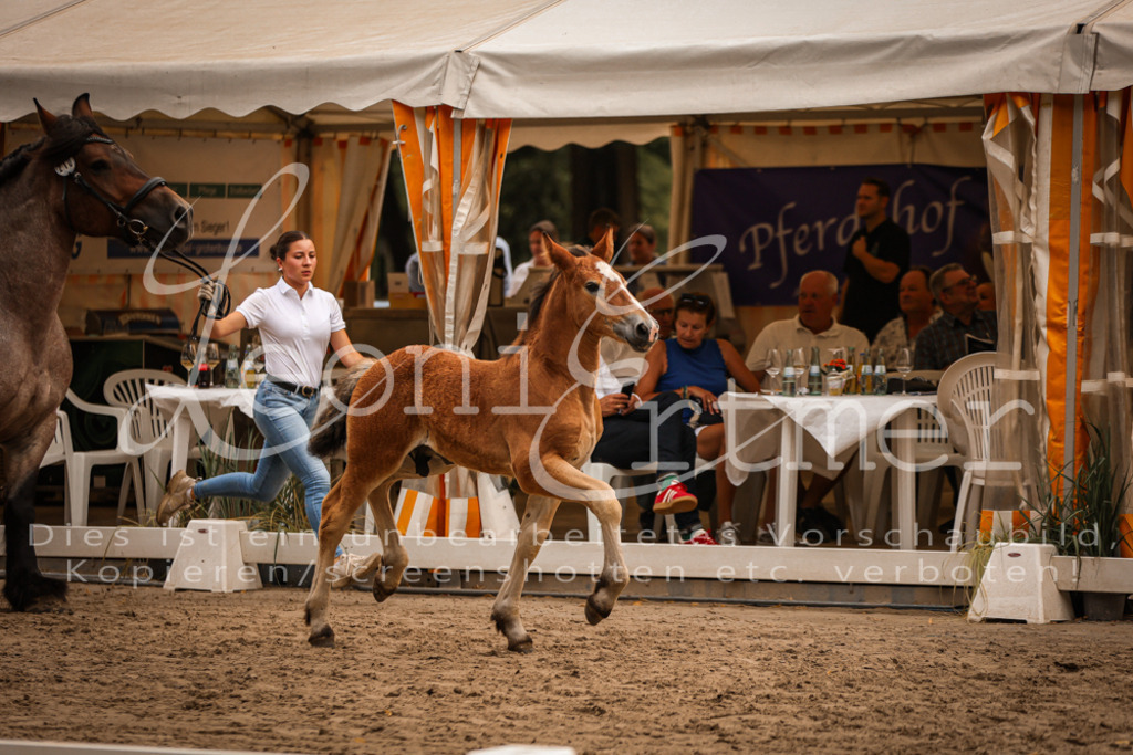 SaHF00014 | Leoni Ertmer Photography - Realisiert mit Pictrs.com