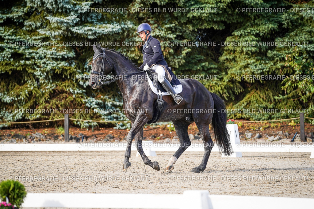 DSC00546 | Pferdegrafie