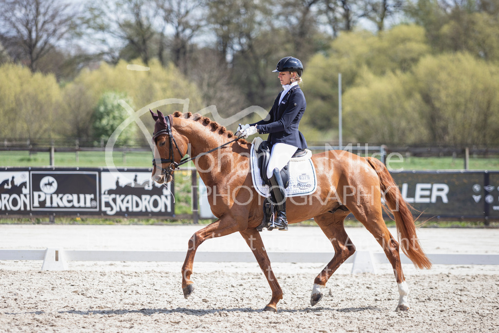 250416_Dressurpferde-L-261 | Deine schönsten Turniermomente als professionelle Fotos! Entdecke hochwertige Pferdesport-Fotografie im Online-Shop. Jetzt Fotos finden & bestellen!