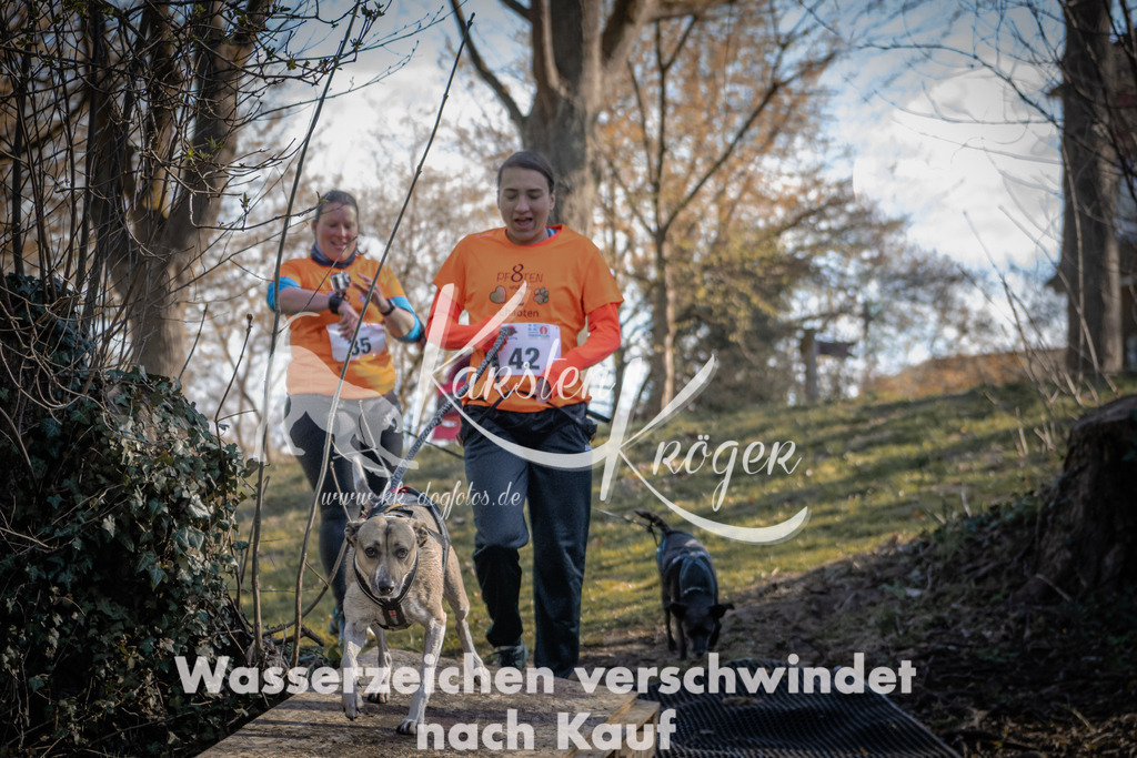 0834_ZZ92196-2 | kk-dogfotos
