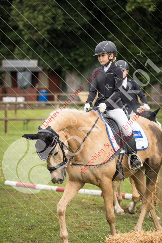 IMG_1614 | Sport-, Event- und Tierfotos in Profiqualität. Einfach auswählen, bestellen und herunterladen. Dein Moment – perfekt festgehalten.