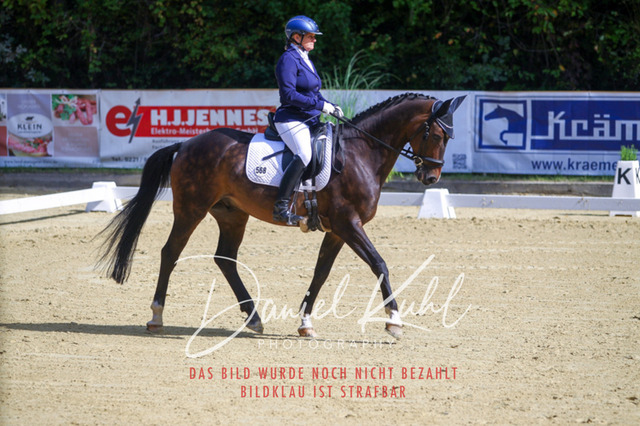 DKP41898 | Turniersportfotografie; Pferdefotografie; Dressurfotografie