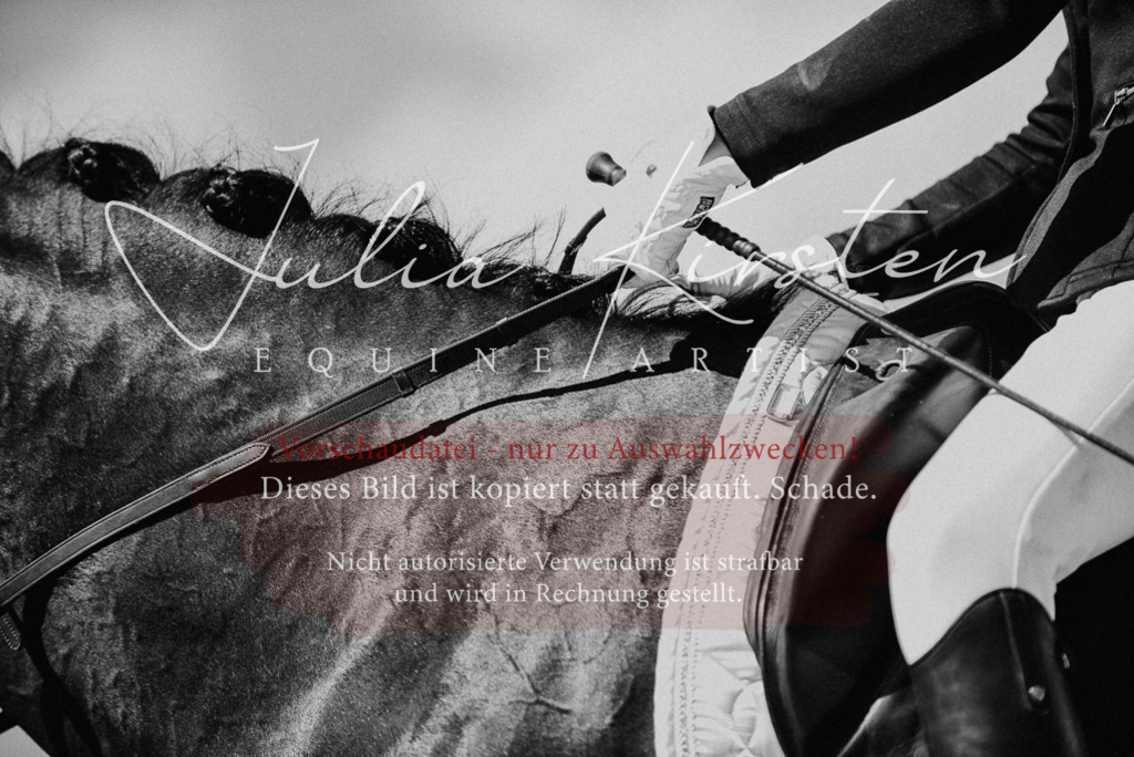 DSC_9554 | Pferde- und Turnierfotografie in Westsachsen. Pferdeportraits, Auftragszeichnungen und intuitive Kunst.