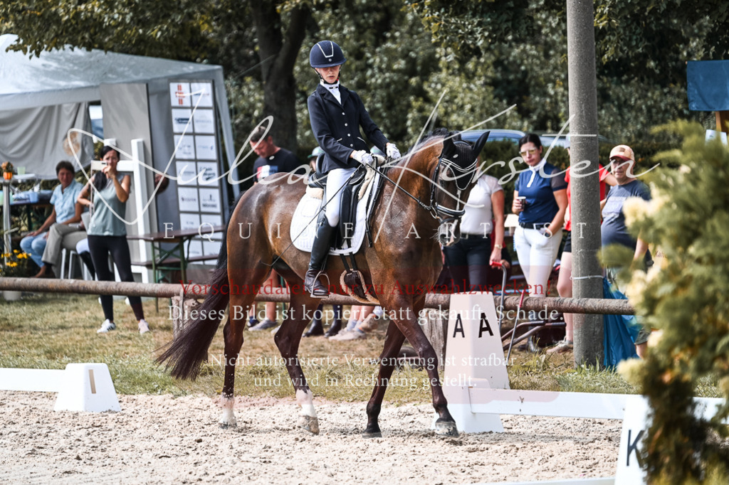 DSC_5213 | Pferde- und Turnierfotografie in Westsachsen. Pferdeportraits, Auftragszeichnungen und intuitive Kunst.