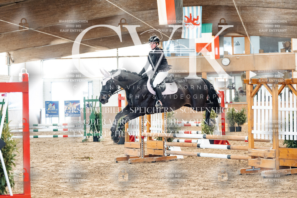 CK903977 | Turnierfotografie Pferdefotografie Trier Rheinland-Pfalz Pferdesport Reitsport Tierfotografie Sportfotografie Pferdevideo Pferdevideografie Equestrianvideography equestrianphotography  - Realisiert mit Pictrs.com