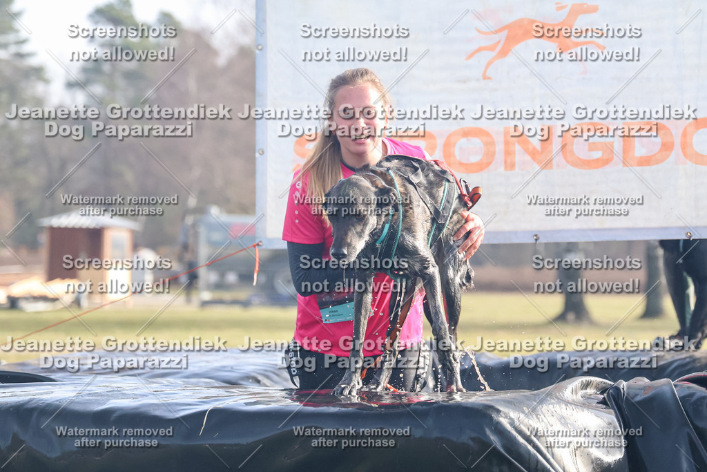 Dog Paparazzi - Strongdog North Mrz26-201 | Dog Paparazzi Jeanette Grottendiek Fotografie & Videografie - Realisiert mit Pictrs.com