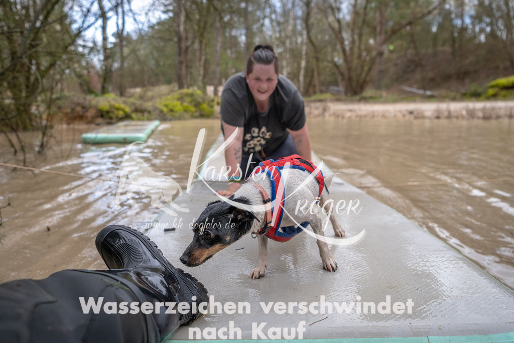 0937_ZZ90923-Bearbeitet | kk-dogfotos