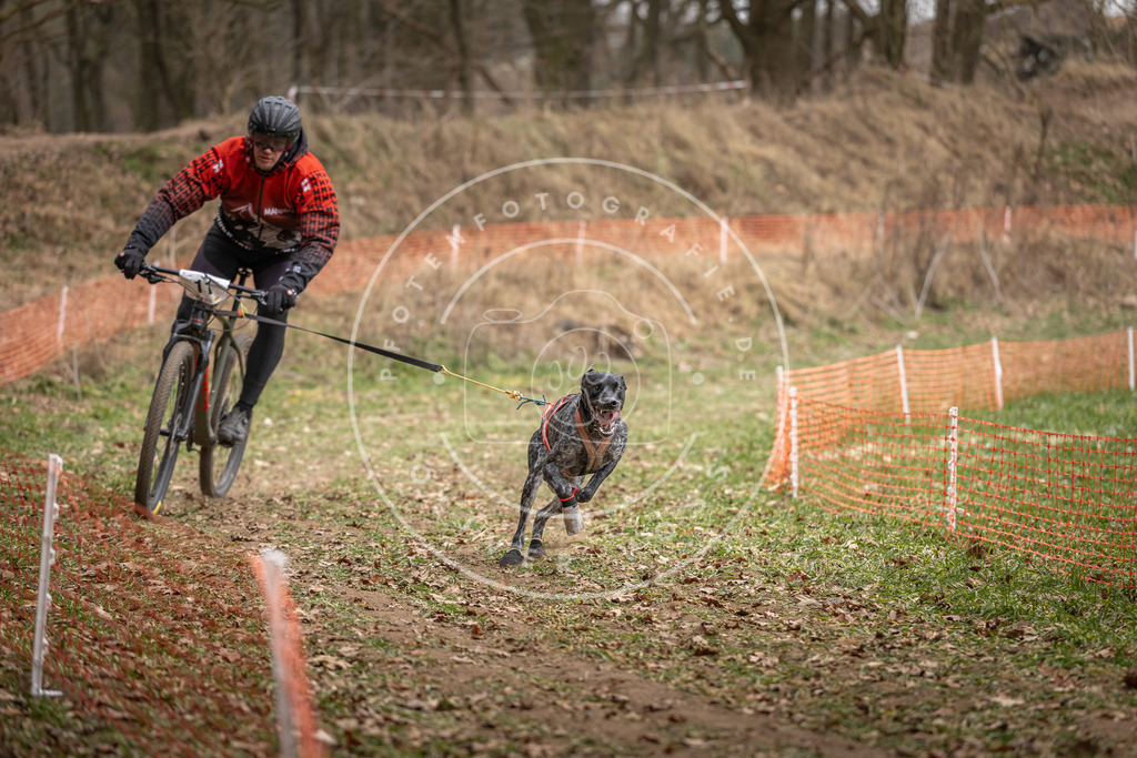 Pfotenfotografie_DV3A6748 | Hundefotografie, Tierfotograf, Pfotenfotografie, Fotoshooting Hund, Hunde Portrait, Hundesport, Hundeportraits, Heideshooting, Hunde, Sportfotograf, Hundefotograf, Turnierhundsport, THS,  - Realisiert mit Pictrs.com