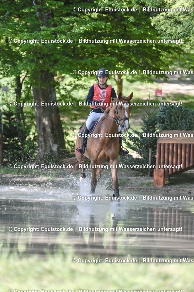 20250517_CCI2_Gelände_0308 | Foto: Thomas Hartig