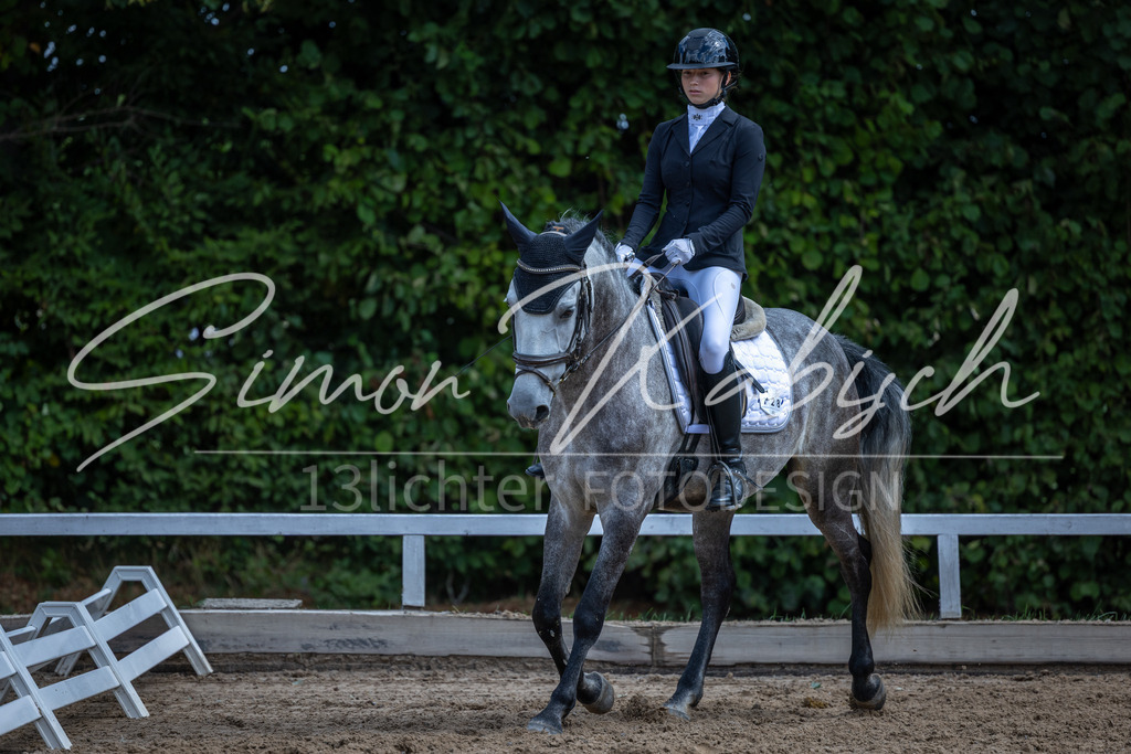 20260905-_3LI8082 | Tierfotografie Pferde, Hunde, Katzen, Haustiere.
Turnierfotografie Reitturniere, Reiten, Springreiten, Dressur in Hanau, dem Main-Kinzig-Kreis und dem Rhein-Main- Gebiet um Frankfurt