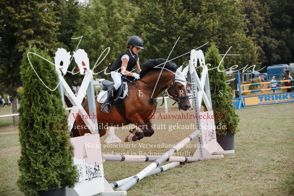 DSC_5486 | Pferde- und Turnierfotografie in Westsachsen. Pferdeportraits, Auftragszeichnungen und intuitive Kunst.