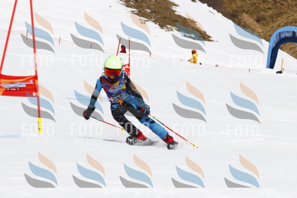 _U3G5971 | holidayphoto