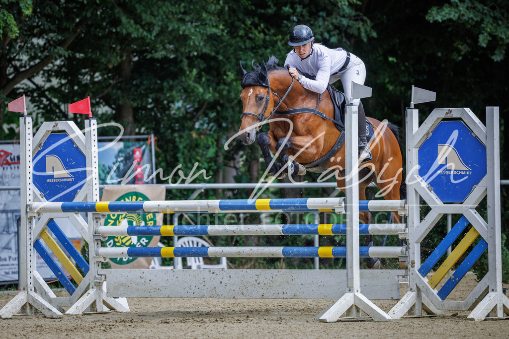 20260705-_3LI6495 | Tierfotografie Pferde, Hunde, Katzen, Haustiere.
Turnierfotografie Reitturniere, Reiten, Springreiten, Dressur in Hanau, dem Main-Kinzig-Kreis und dem Rhein-Main- Gebiet um Frankfurt