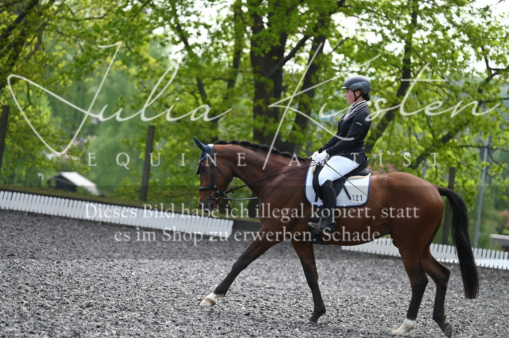 20230512_JK-Röhrsdorf-01-121 | Pferde- und Turnierfotografie in Westsachsen. Pferdeportraits, Auftragszeichnungen und intuitive Kunst.