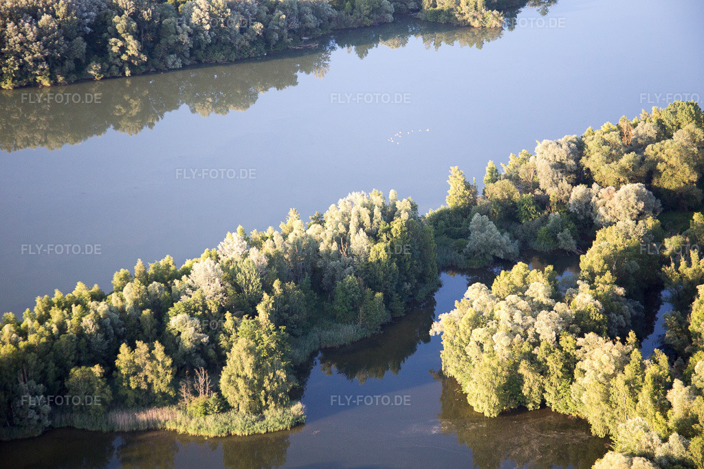 Luftbild: Isarauwald im Ortsteil Oberhöcking in Landau im Bundesland Bayern in Deutschland. Foto: IMG_090311.jpg vom 01.07.2016 durch Werner Riehm/FLY-FOTO.de