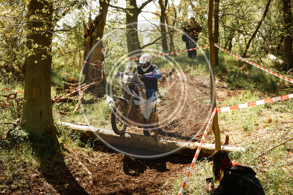 RottlebenIGE25_Lauf2-108 | koppe-media