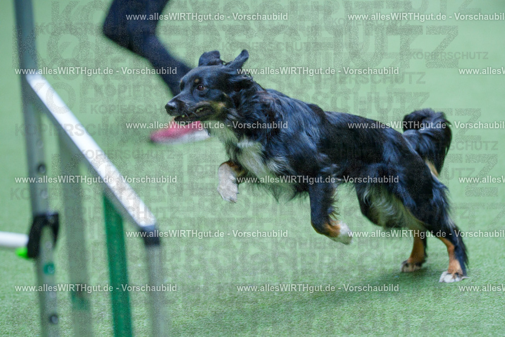 @allesWIRTHgut_Tierfotografie - www.allesWIRTHgut.de - 2604251352-7R504224 | Professionelle Tierfotografie in Mönchengladbach von Daniel Wirth (allesWIRTHgut). Liebevolle & natürliche Bilder von Hunden & Katzen für unvergessliche Erinnerungen.
