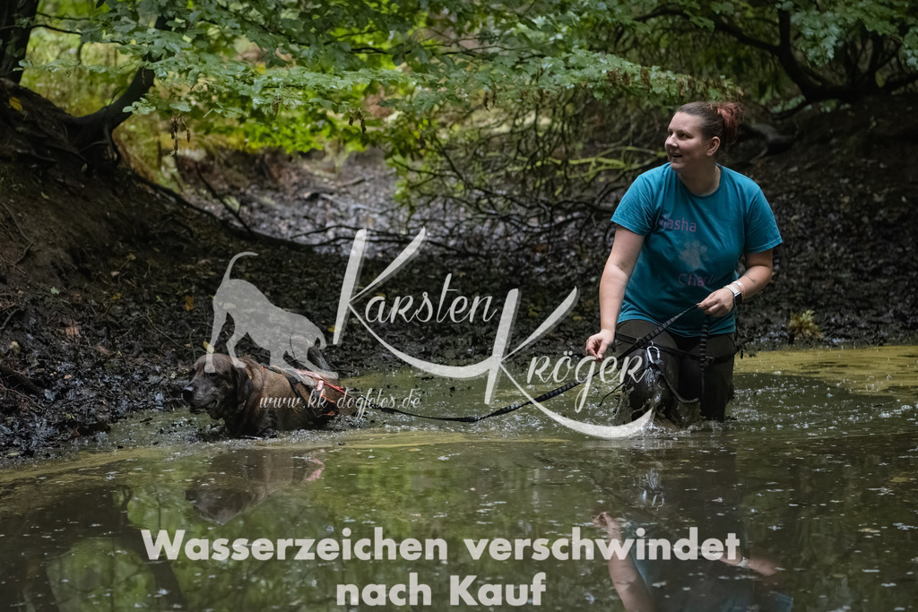 0929_ZZ90514-Bearbeitet | kk-dogfotos
