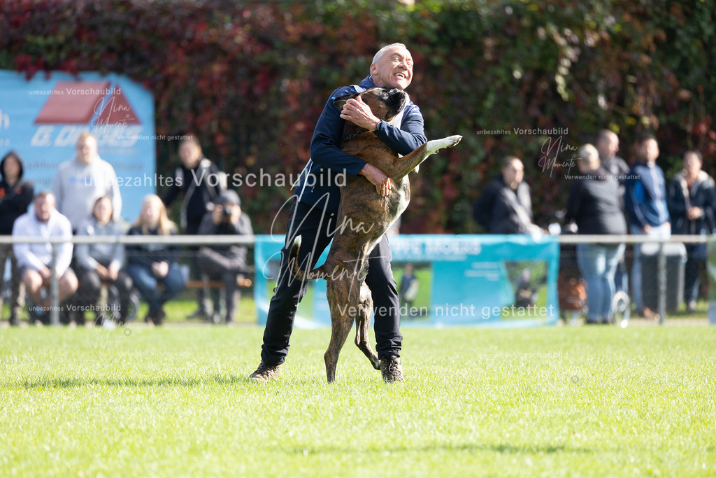 _16A5346 | Einzigartige Fotos von Hunden & Menschen –Actionfotos, Portraits, Vereinsaufnahmen & Paarshootings – authentisch, lebendig & mit Herz.