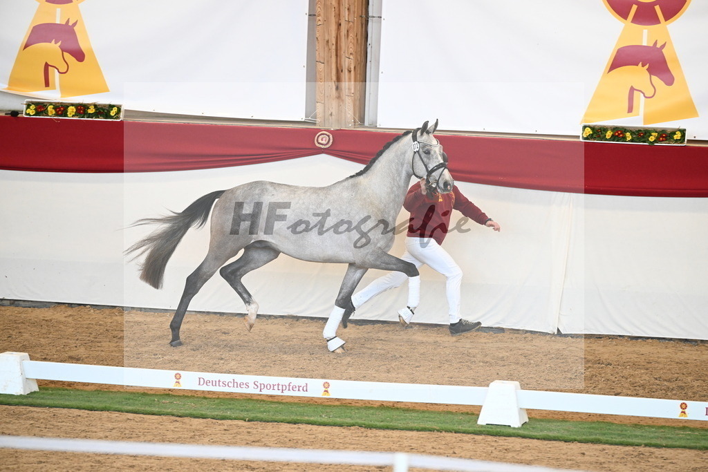 Kat.-Nr. 72 v. Johnson_Lehner_2250607 | hf-fotografie - Realisiert mit Pictrs.com