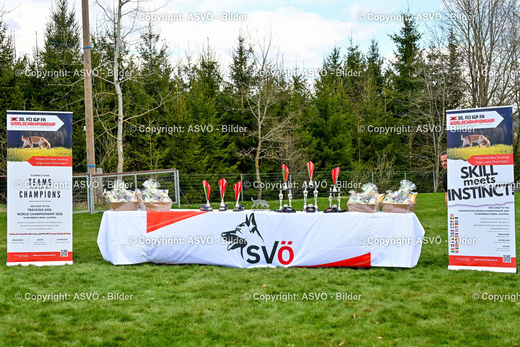 ASVÖ_ Tracking Dog World Championship 2025_ 05.04.2025-32 | bilder.asvo-sport - Realisiert mit Pictrs.com