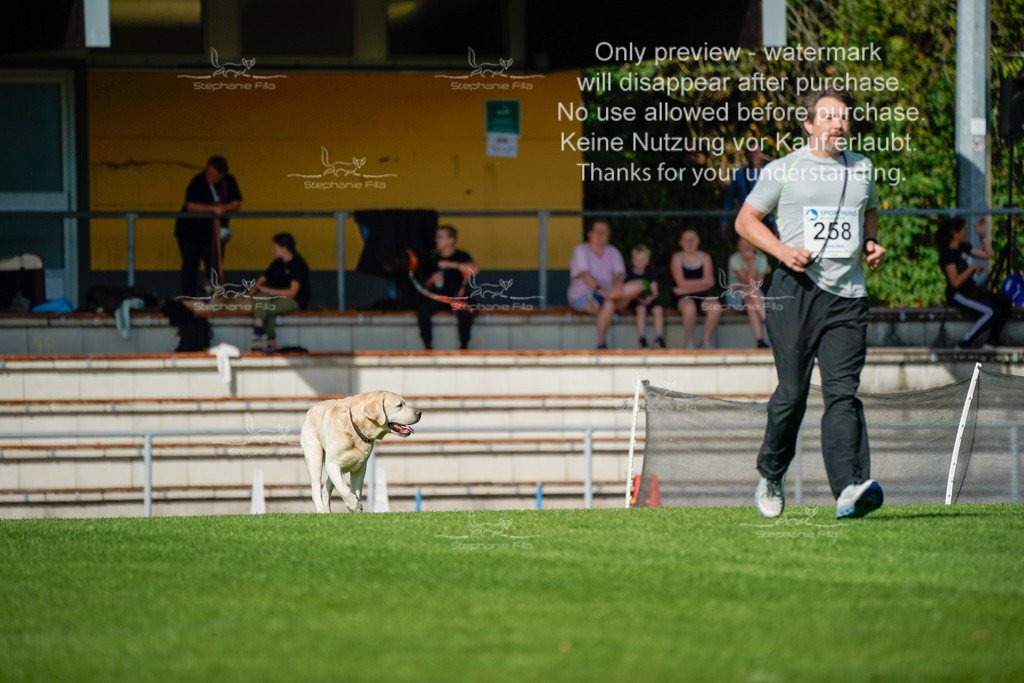 Sonntag_Gh (364 von 465) | stephaniefillaphotographie - Realisiert mit Pictrs.com