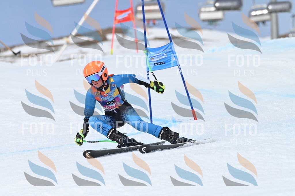 BGV_3962 | holidayphoto