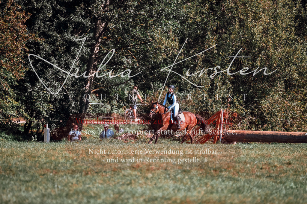 DSC_0683 | Pferde- und Turnierfotografie in Westsachsen. Pferdeportraits, Auftragszeichnungen und intuitive Kunst.