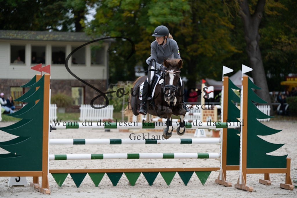 A7V00015 | Pferdefotograf