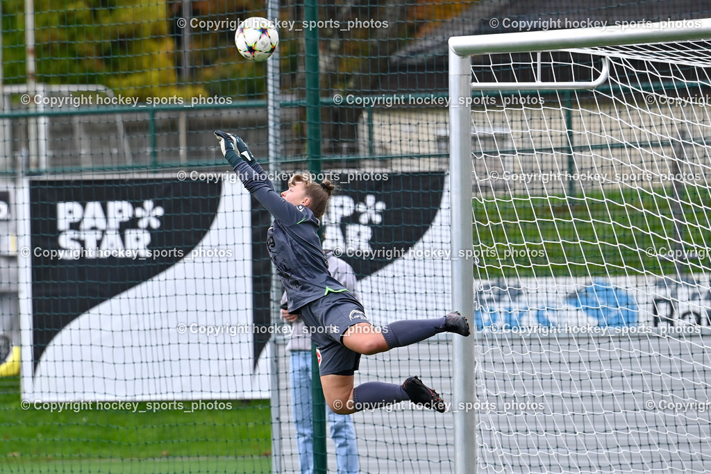 Liwodruck Carinthians Hornets vs. FC Pingau Saalfelden Frauen 29.10.2023  | #1 Anja Meier, Flugeinlage