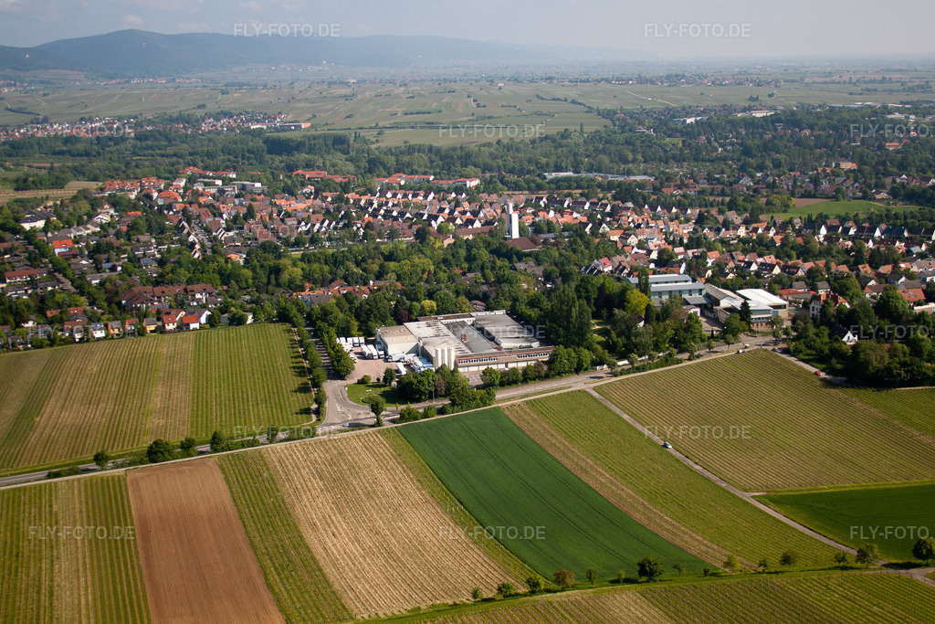 Luftbild: Wollmesheimer Höhe, Hofmeister-Brot GmbH in Landau in der Pfalz im Bundesland Rheinland-Pfalz in Deutschland. Foto: IMG_27277.jpg vom 23.05.2010 durch Werner Riehm/FLY-FOTO.de