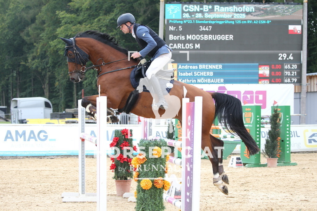 DL2Q4681 | Willkommen bei Brunnmayr - Design & Fotografie – Ihrem Spezialisten für Reitturniere und Pferdeveranstaltungen in Oberösterreich, Salzburg und Bayern! Seit über 17 Jahren sind wir leidenschaftlich dabei.